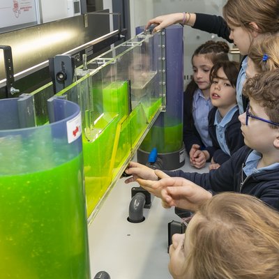 Staunende Kinder blicken auf einen großen Glasbehälter mit grüner Flüssigkeit.