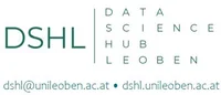 Logo DSHL