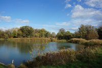 Landschaft, die einen Fluss zeigt, neben dem Bäume und Sträucher wachsen.