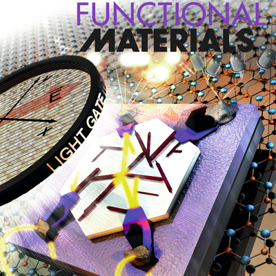 Cover Advanced Functional Materials Wiedergabe des Covers der Zeitschrift Advanced Functional Materials