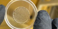 Zwischen zwei Fingern ist eine kleine Petrischale eingeklemmt, in der ein vernetztes Muster zu sehen ist, das aus einem Gel besteht.