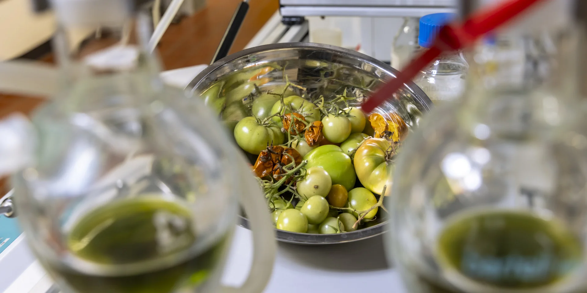 Eine Schüssel mit Tomaten, davor angedeutet Glasbehälter mit Flüssigkeiten.